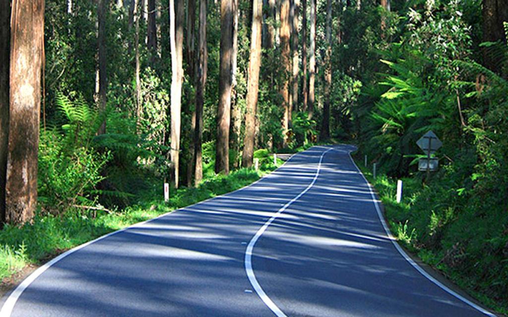 Marysville Holiday Park Luaran gambar
