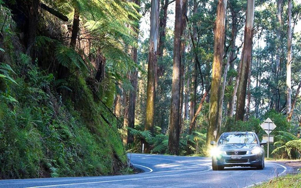 Marysville Holiday Park Luaran gambar